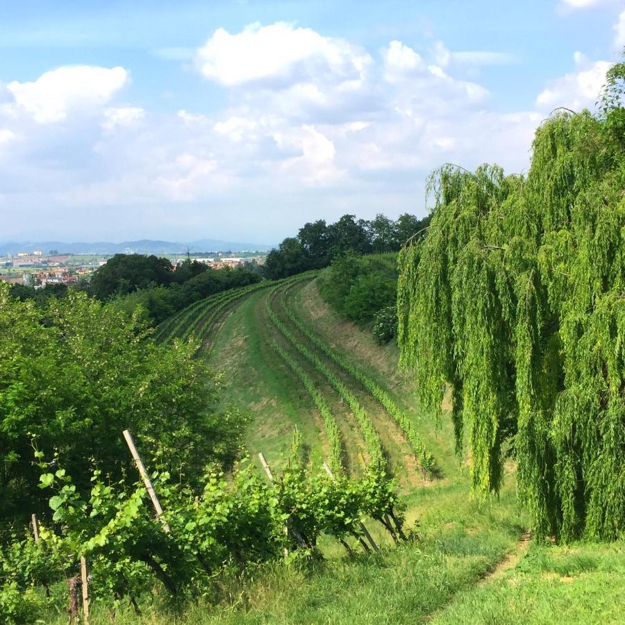 Il Convento Di Villa San Fermo Lonigo Kültér fotó